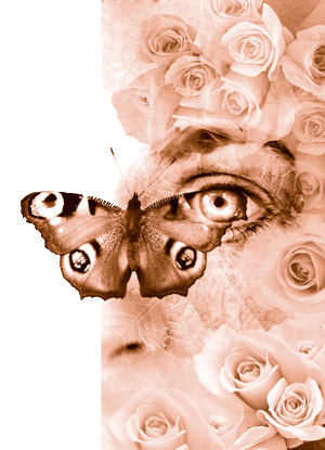 Butterfly, roses and eyes of introspection