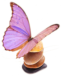 Butterfly depicting humans searching lasting happiness.