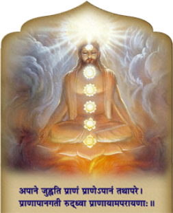 Yogi with seven Chakras